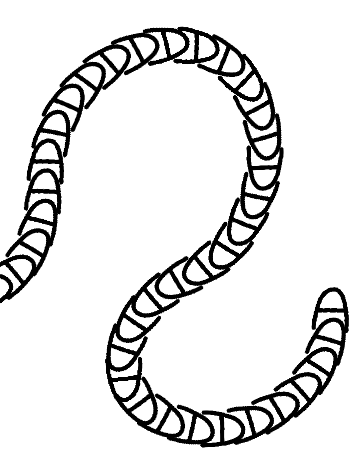 ../../../_images/odysseybrush-nodes-transform-other-rotate-result.png