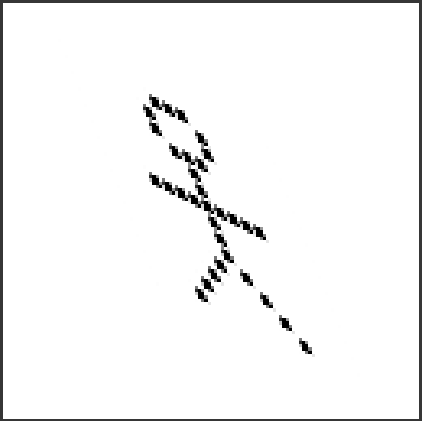 ../../../_images/odysseybrush-optimization-resampling-stickman-bicubic-shear.png