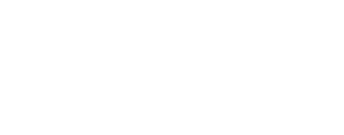 Praxinos Logo